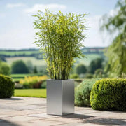 50cm Zinc Galvanised Silver Tall Square Planter